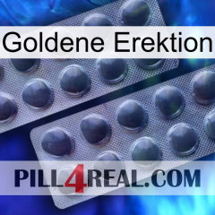 Golden Erection 31